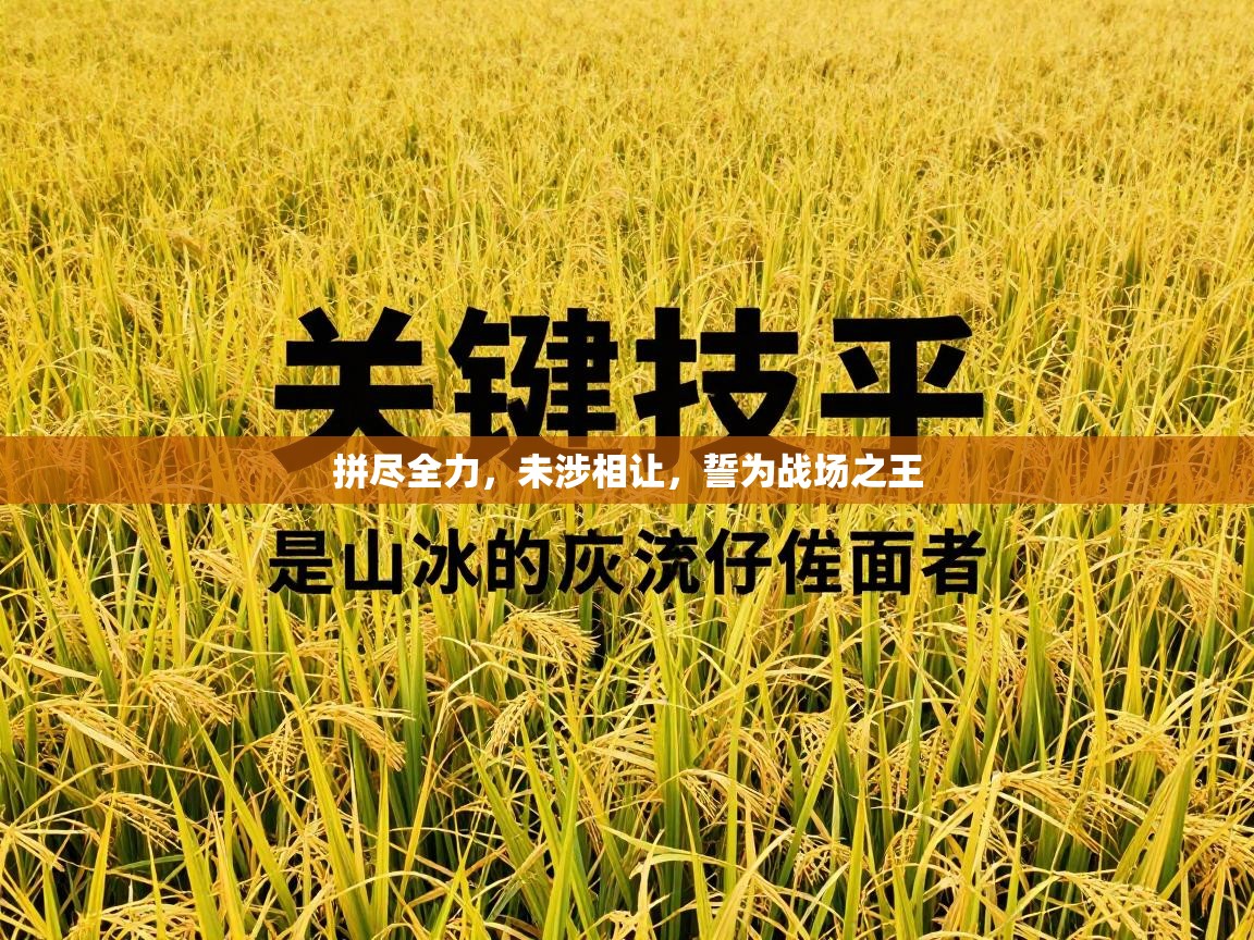 拼尽全力，未涉相让，誓为战场之王  第1张