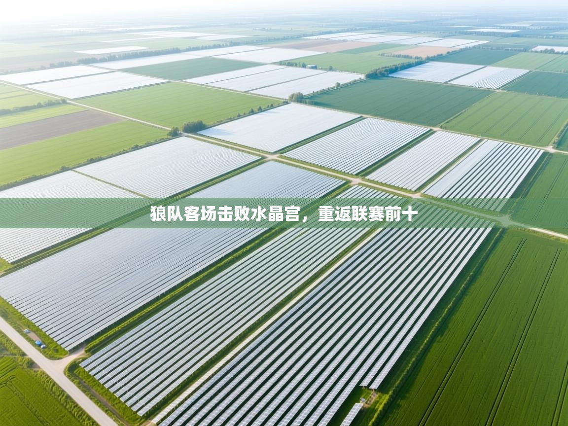 狼队客场击败水晶宫,重返联赛前十 第1张