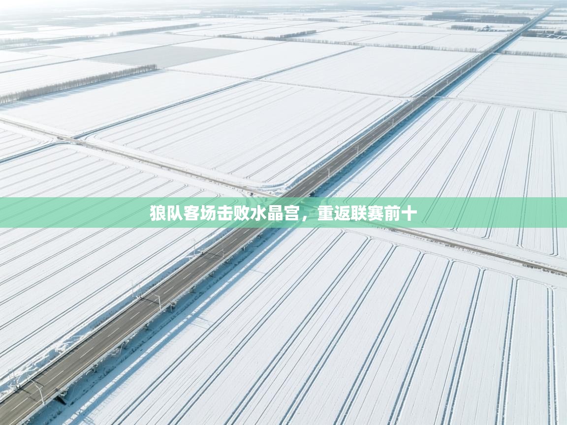 狼队客场击败水晶宫,重返联赛前十 第2张