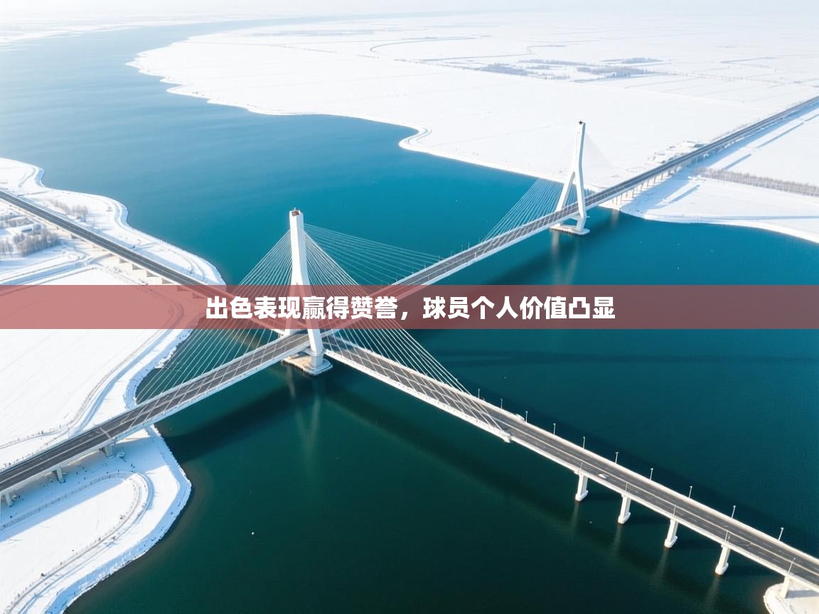 出色表现赢得赞誉，球员个人价值凸显